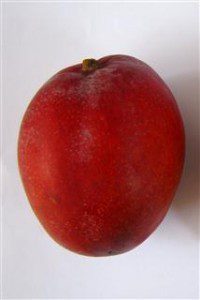 frutta esotuca mango tommy