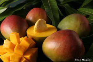 frutta esotica mango